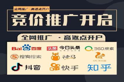 百度竞价SEM案例研究：提升转化率的关键策略
